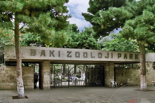 Bakı Zooparkı bağlandı - VİDEO