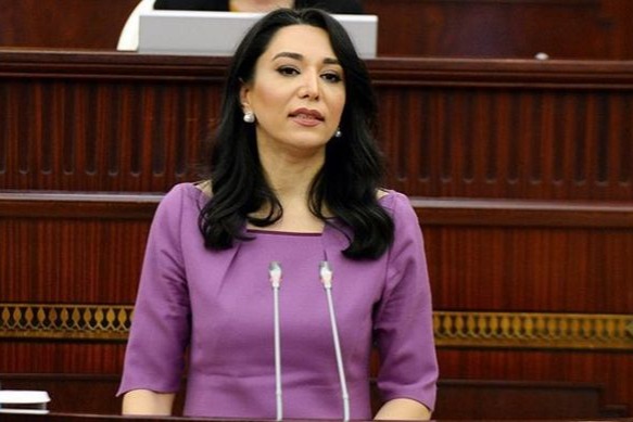 Ombudsman növbəti erməni təxribatına dair beynəlxalq təşkilatlara müraciət edib