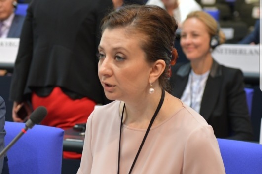 Milli Məclisin deputatından erməni həmkarının sərsəm fikirlərinə tutarlı cavab