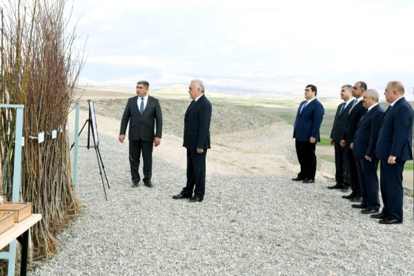 Naxçıvanda yeni meyvə bağı salınıb