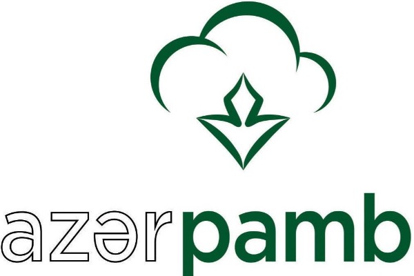“Azərpambıq” ixrac gəlirlərini kəskin artırıb