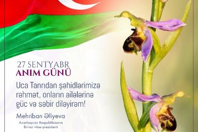Mehriban Əliyeva: Uca Tanrıdan şəhidlərimizə rəhmət, onların ailələrinə güc və səbir diləyirəm