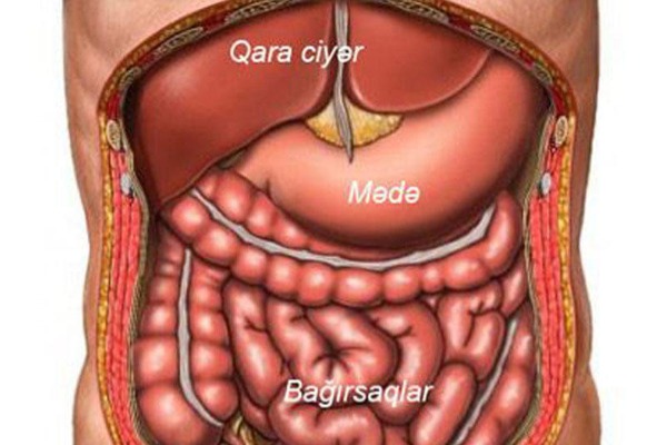 DÜNYADA ƏN ÇOX YAYILAN XƏSTƏLİK (Mədə Ağrısı, Mədə Xərçəngi və Qastrit)