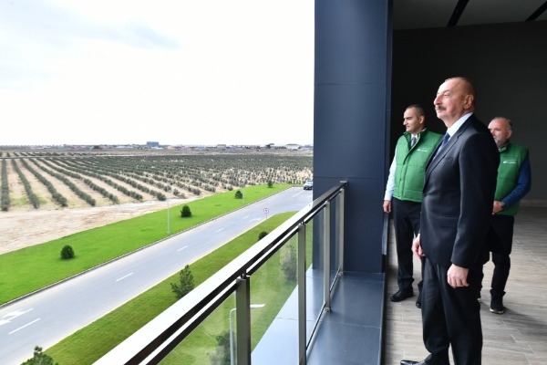 Prezident İlham Əliyev Zirə qəsəbəsində zeytun yağı və süfrəlik zeytun məhsullarının emalı zavodunun açılışında iştirak edib