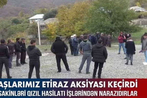 Gürcüstanda soydaşlarımız etiraz aksiyası keçirdi