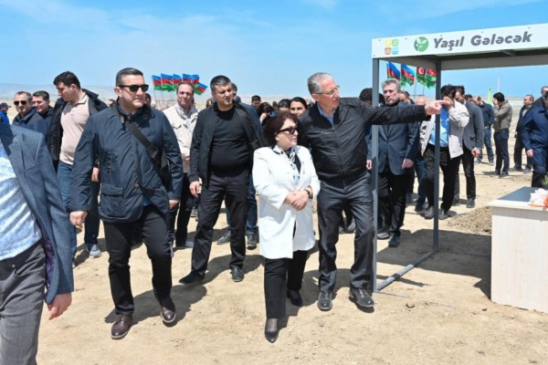 Milli Məclis Ulu Öndərin 100 illiyi münasibətilə yaşıllaşdırma aksiyası təşkil edib